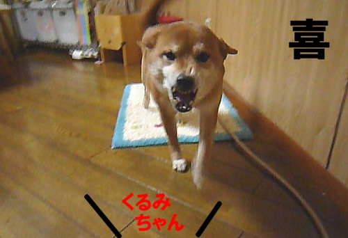 e0131506_1145243.jpg
