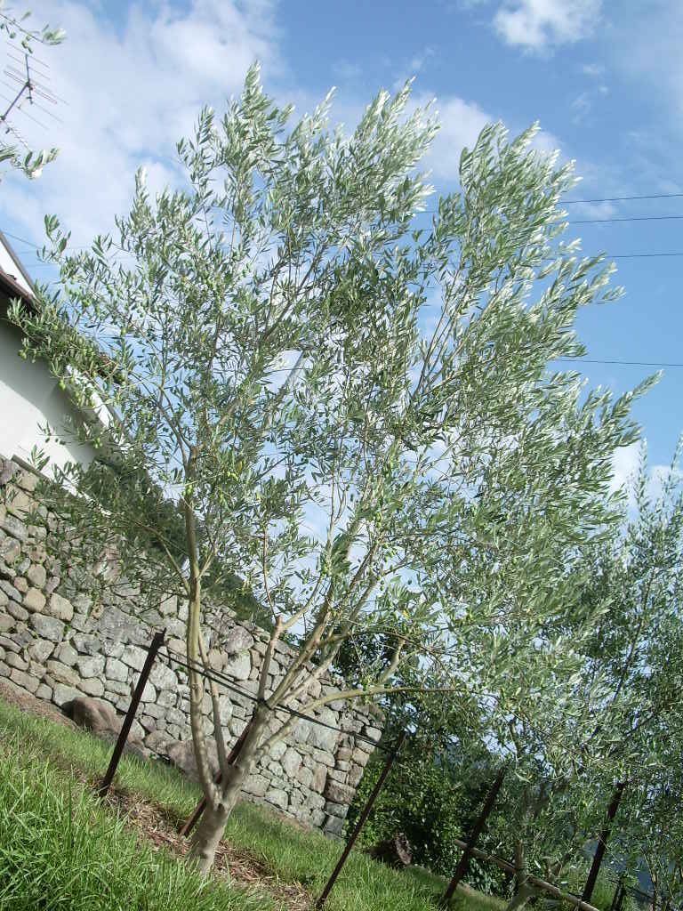 d0263607_0153180.jpg