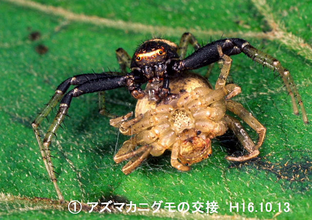 交接