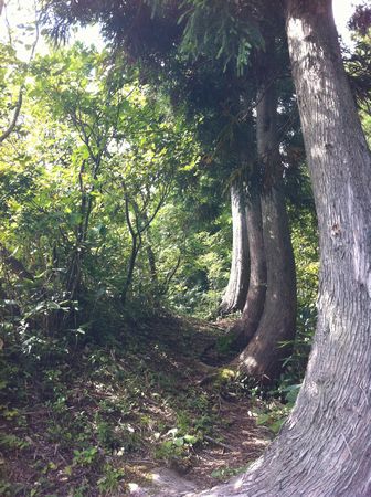 e0132713_11154089.jpg