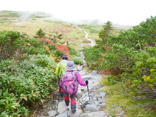 日本百名山　白山 (2,702.2M) 下山する_d0170615_7255184.jpg