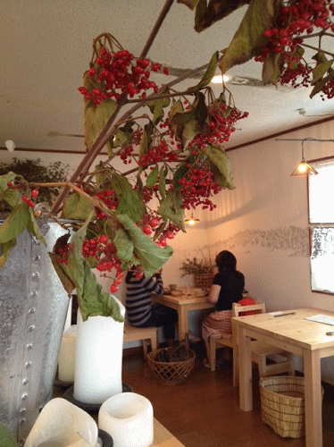 秋のいろどり_a0251920_10345439.gif