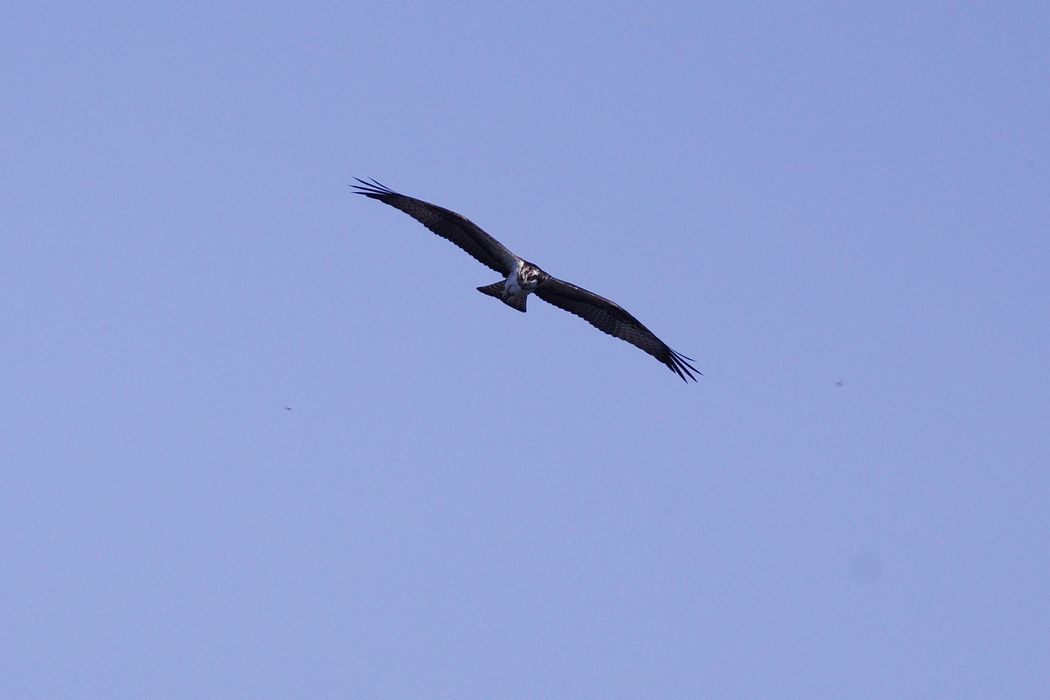 a0031821_1915388.jpg