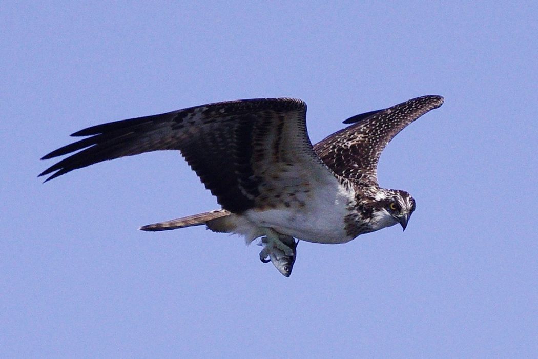 a0031821_19165599.jpg