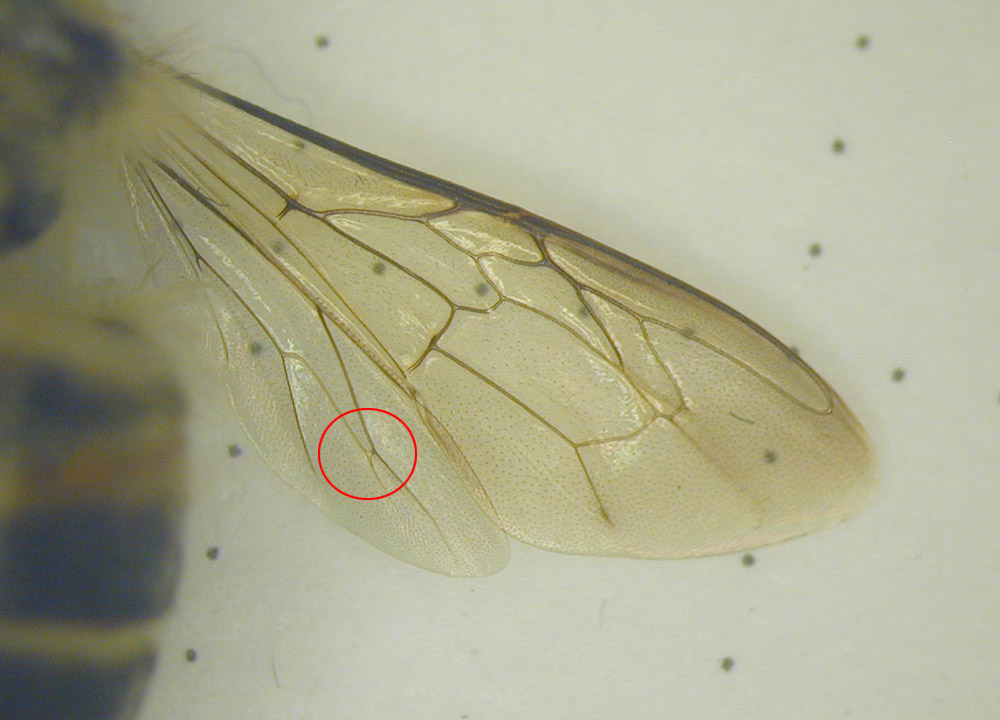 f0181821_10164248.jpg