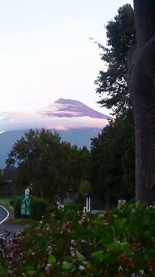 b0147522_21251254.jpg