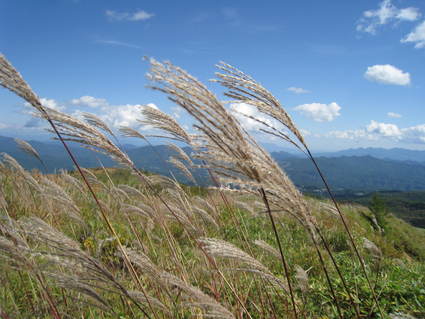 a0057828_172278.jpg