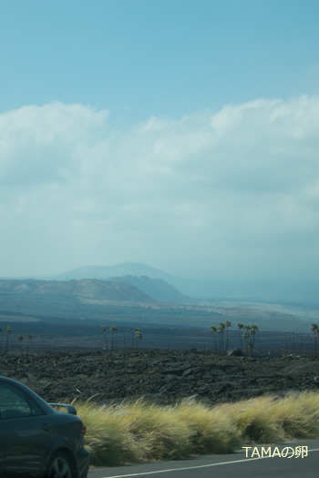 c0024729_1929494.jpg