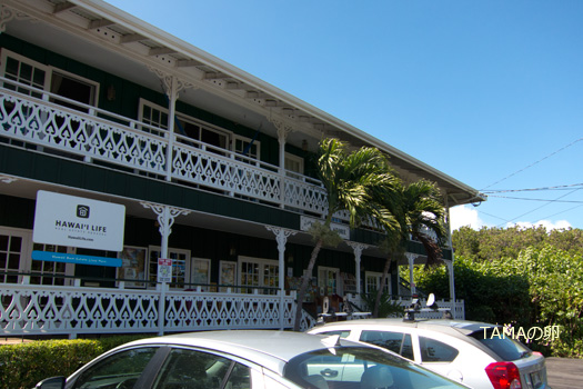c0024729_1930117.jpg
