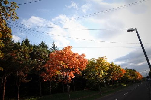 c0051132_20452777.jpg