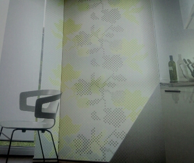 c0103137_8384032.jpg