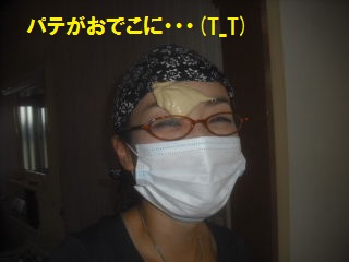 f0031037_2327331.jpg