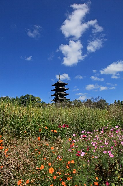 a0242438_2094637.jpg
