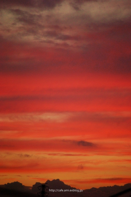 c0218146_8455867.jpg