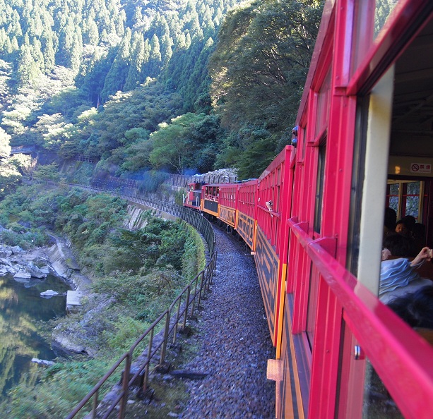 京都；嵐山のトロッコ列車_f0224347_15252034.jpg