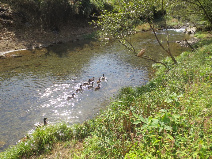 海洋堂ホビー館とカッパ館に行く_f0067354_19452172.jpg