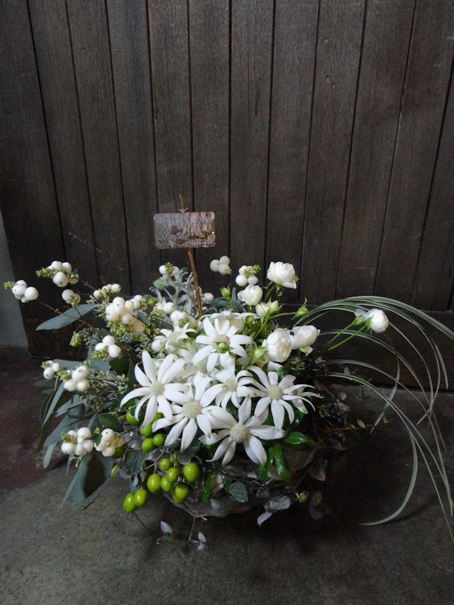 ごぶさたしておりました。。_d0162257_28696.jpg