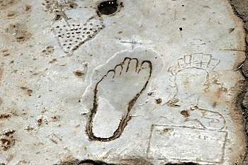 a0092659_1645035.jpg