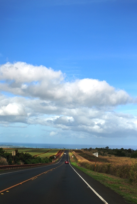 e0138560_175826.jpg
