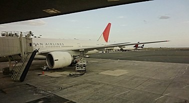 c0022164_835671.jpg