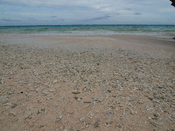 a0260570_10155290.jpg