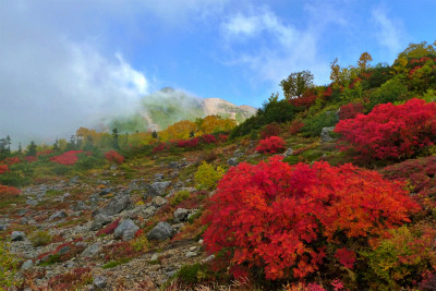 乗鞍岳の紅葉情報！　その②_f0182173_1143319.jpg