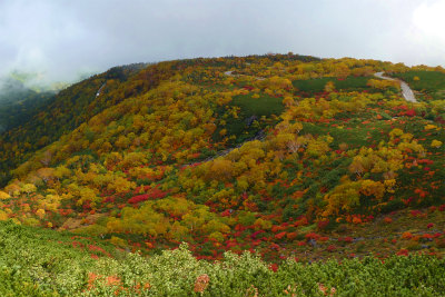 乗鞍岳の紅葉情報！　その②_f0182173_11441050.jpg