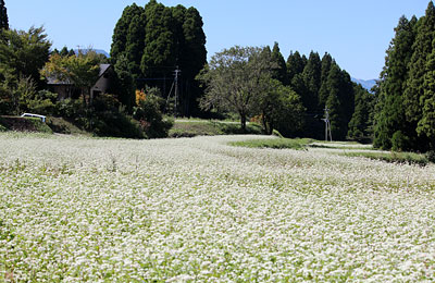c0152779_11255963.jpg