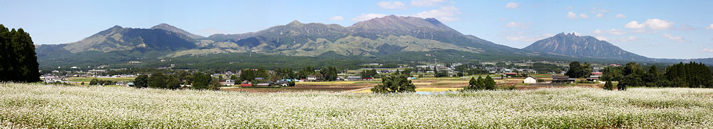 c0152779_15203025.jpg