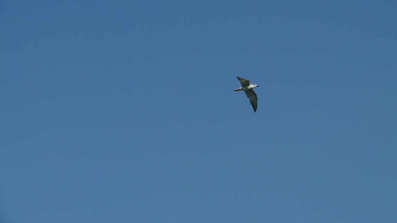 a0185081_18131854.jpg