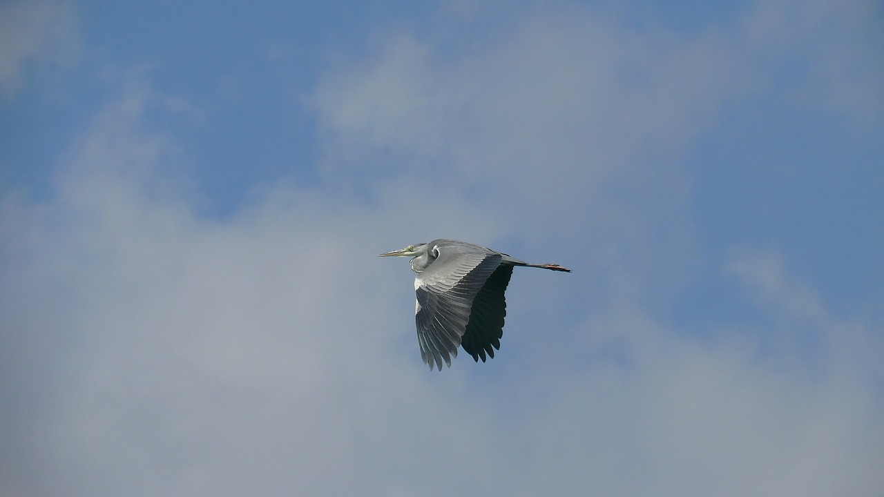 a0185081_18133383.jpg