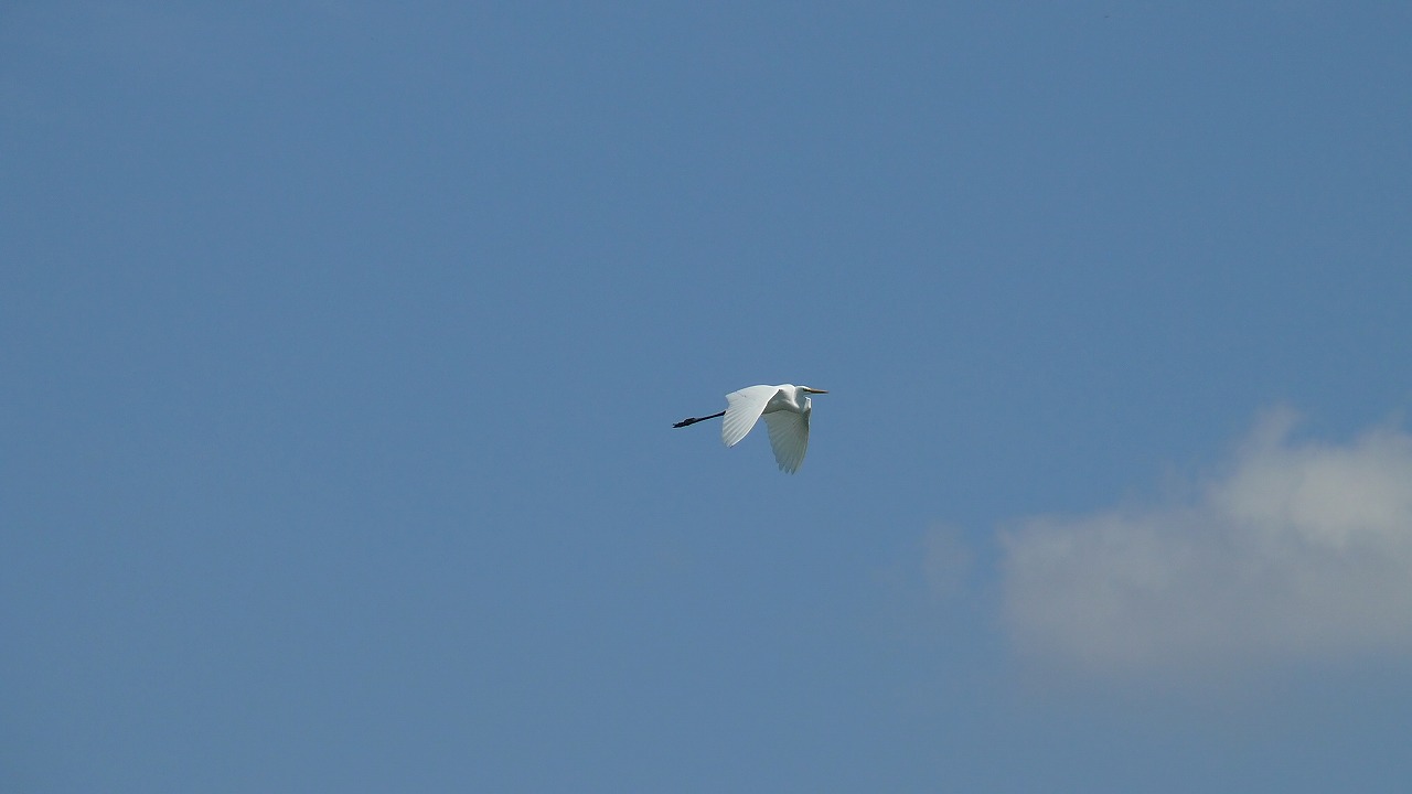 a0185081_1814360.jpg