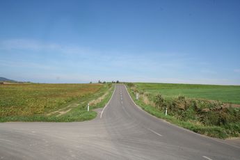 f0167382_74134.jpg