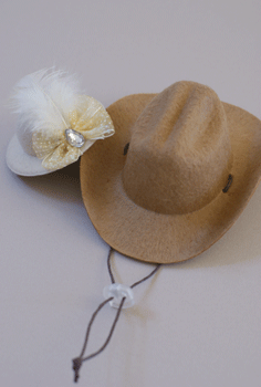 c0193788_11204921.gif
