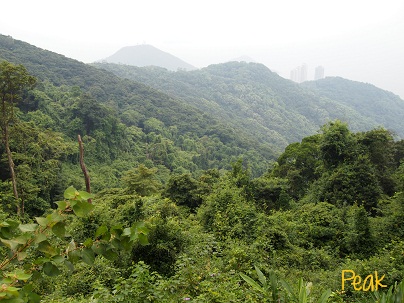 d0088196_9351293.jpg