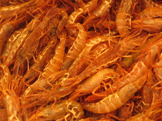 a0193698_212610.jpg