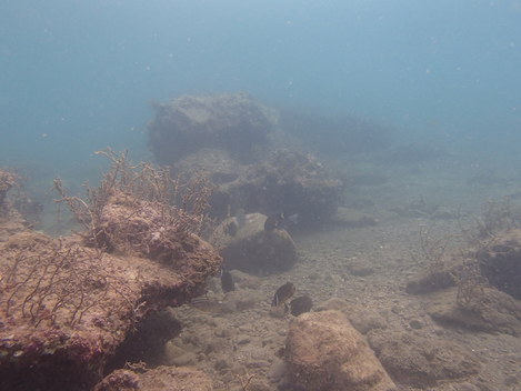 e0115199_14525686.jpg