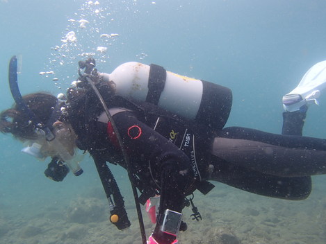 e0115199_1456264.jpg