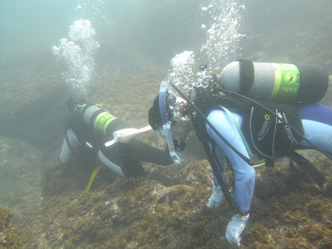 e0115199_2045567.jpg