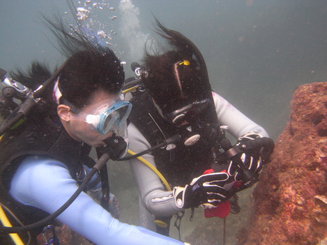 e0115199_21132489.jpg