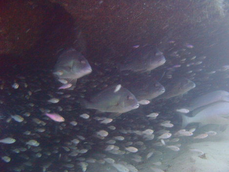 e0115199_2171518.jpg