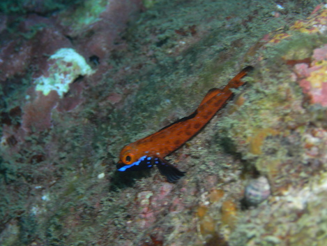 e0115199_218189.jpg