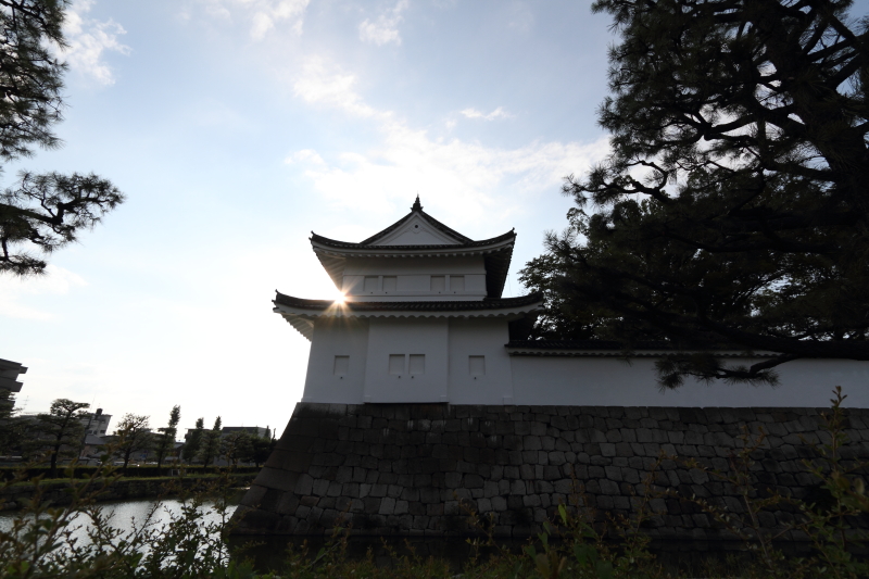 a0046000_1359120.jpg