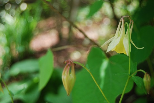 c0124100_15475574.jpg