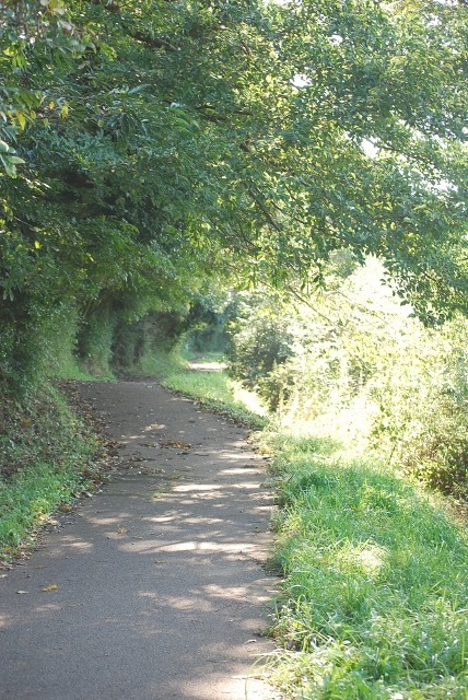e0025300_1581334.jpg