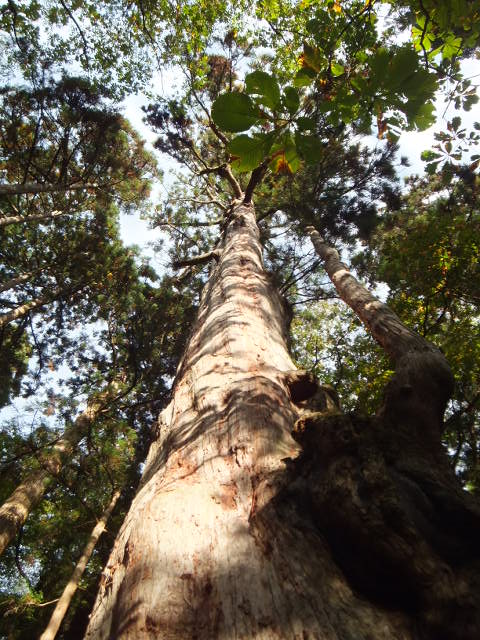 a0271502_21412317.jpg