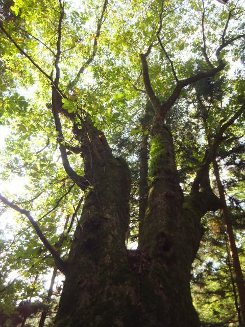 a0271502_21422964.jpg