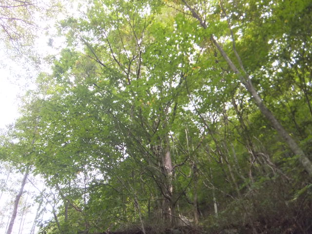 a0271502_21492448.jpg