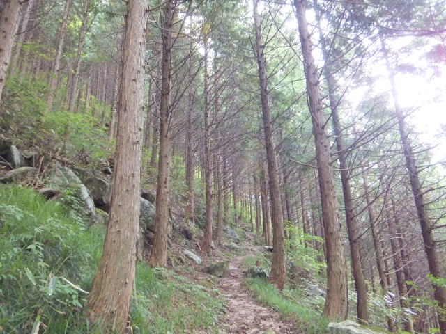 a0271502_21501816.jpg