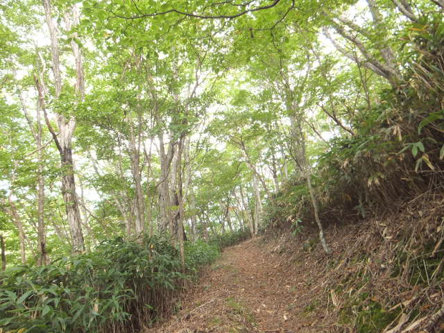 a0271502_2152256.jpg